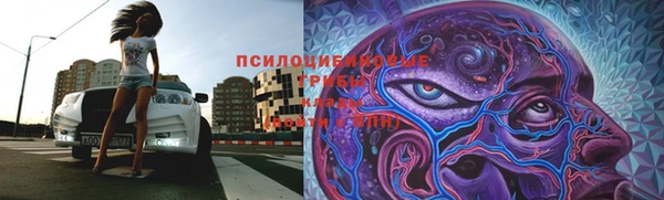 ешки Костерёво