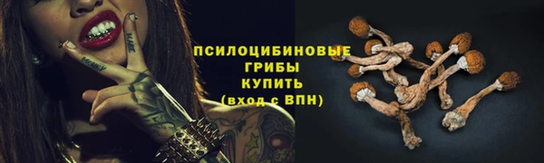 ешки Костерёво