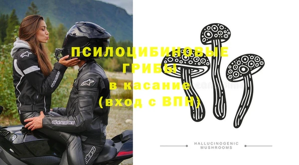 дмт Корсаков