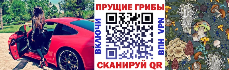Галлюциногенные грибы Psilocybe Купить где Выборг